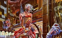 somewhereintime047-ironmaideneddie.com